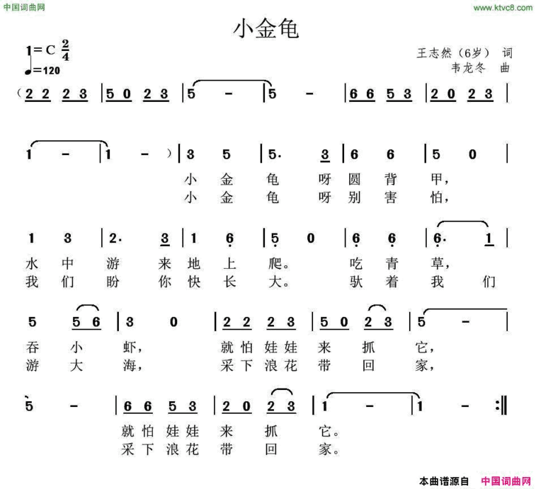 小金龟简谱