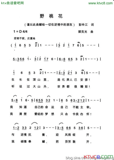 野桃花简谱
