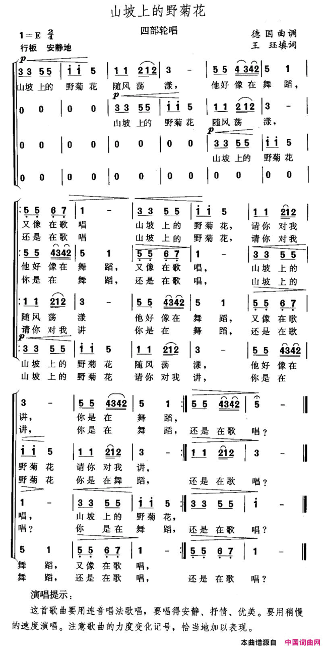 山坡上的野菊花四部轮唱简谱