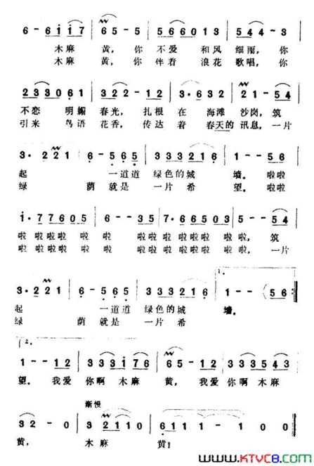 我爱你啊，木麻黄简谱