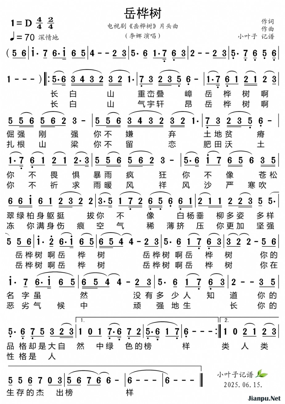 歌曲岳桦树(电视剧《岳桦树》片头曲)的简谱歌谱下载